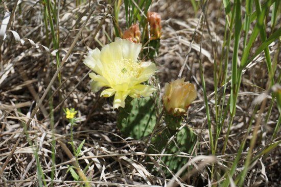 Midland Provincial Park